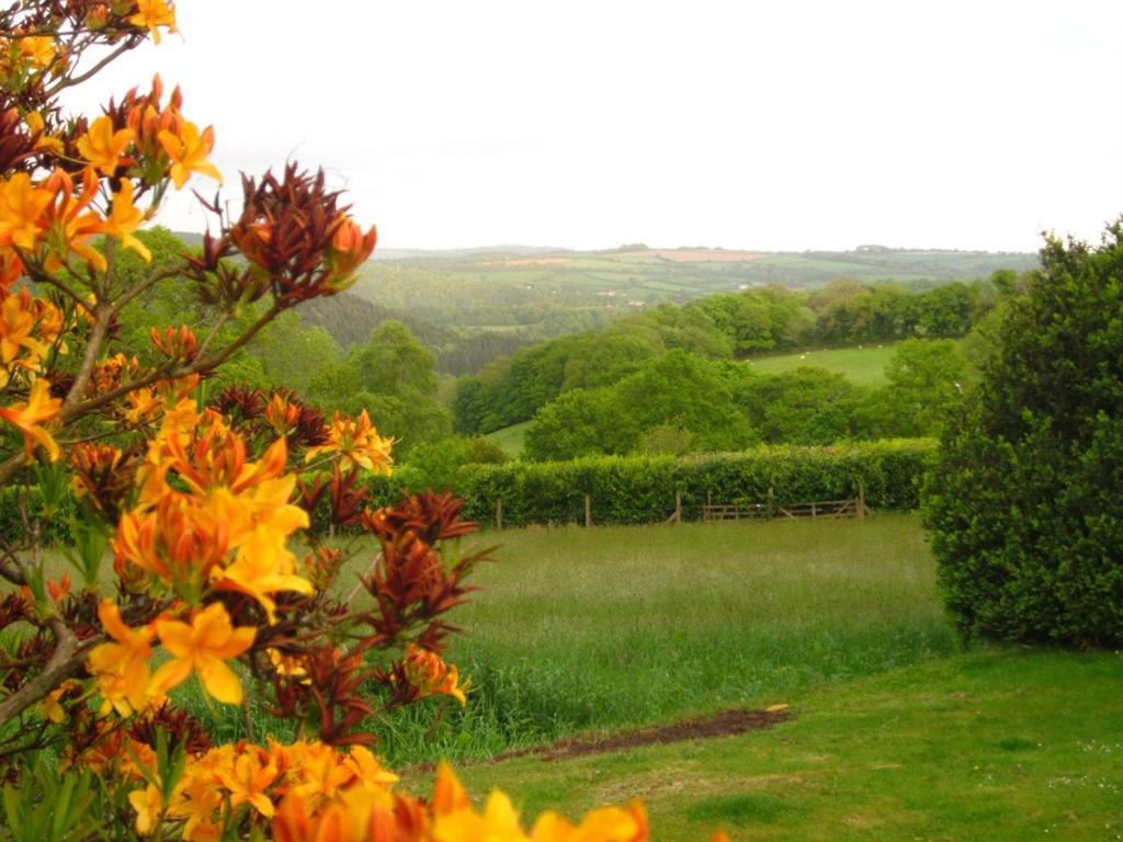 Sandhill House Country House Retreat Gunnislake Экстерьер фото