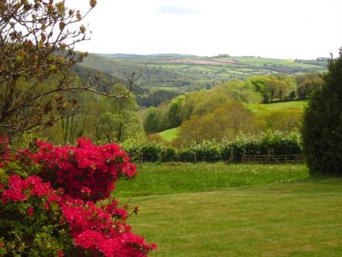 Sandhill House Country House Retreat Gunnislake Экстерьер фото