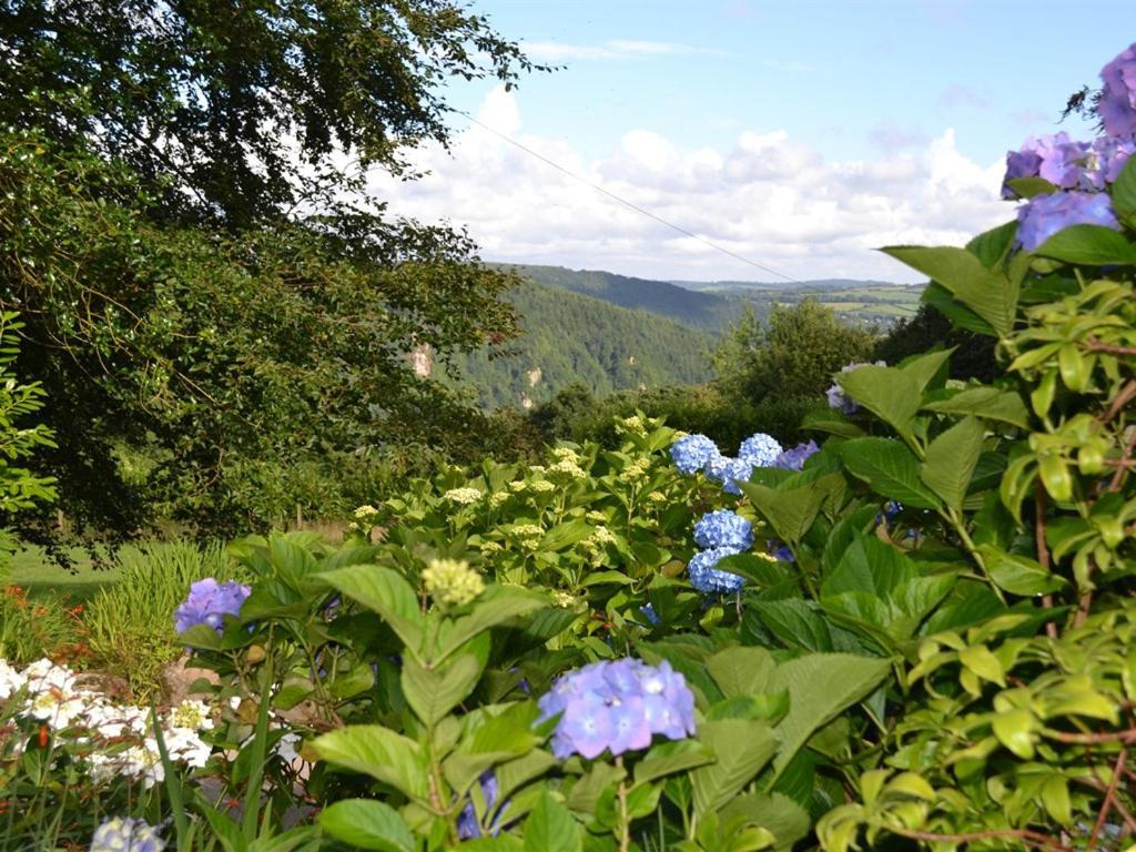 Sandhill House Country House Retreat Gunnislake Экстерьер фото